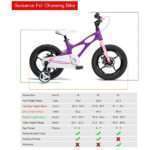 Bicycle.Հեծանիվ․Space Shuttle Magnesium 14" Purple