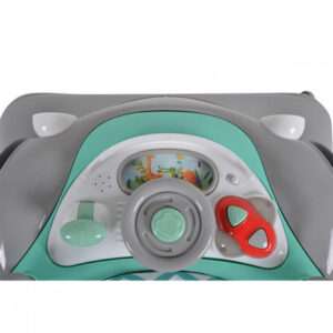 BABY-WALKER Քայլասայլակ  Cangaroo Shelby-mint