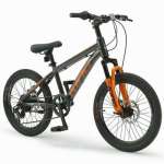 Bicycle Հեծանիվ Royalbaby-KING 22"-Grey