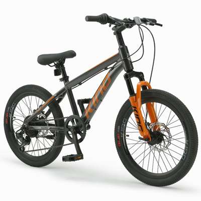 Bicycle Հեծանիվ Royalbaby-KING 22"-Grey